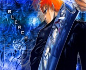 Bleach 16