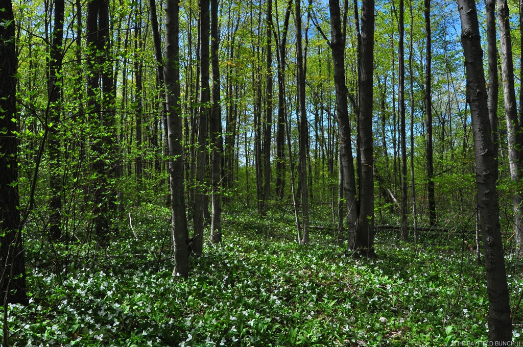 [DSC_0023%255B4%255D.jpg]