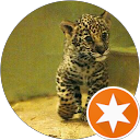 Rafay Rizvi profile picture