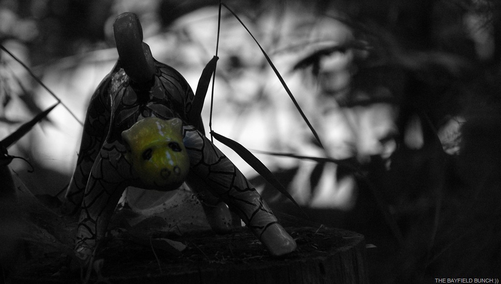 [DSC_6944%255B4%255D.jpg]