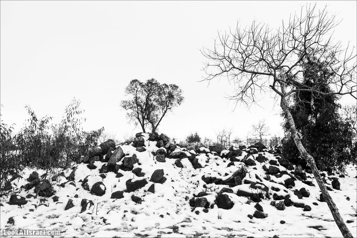 LookAtIsrael.com | Снег в Израиле, Голанские высоты и Галилея | Snow in Israel, Golan Heights and Galilee | שלג בישראל, רמת הגולן וגליל