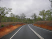 Austr_508_12.11.2007.JPG