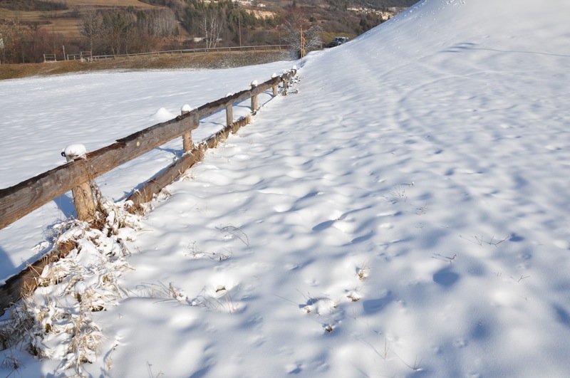 DSC_4416.JPG DSC 4416