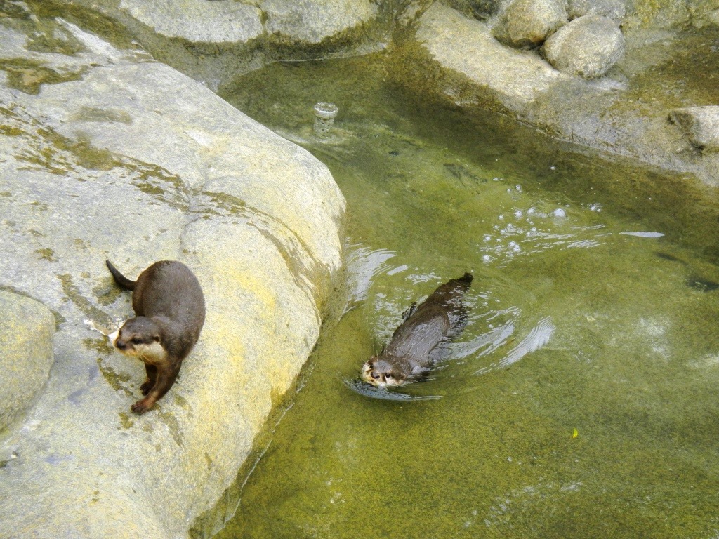 [DSCN5470%2520-%2520Kopie%255B4%255D.jpg]