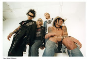 Backyard Babies