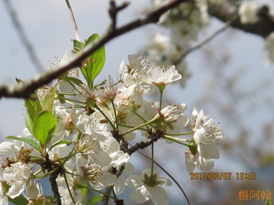 2013 恩愛農場 - 054