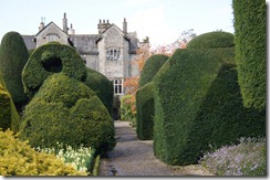 levens hall topiary and hall 3