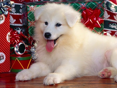 [wallpapers%2520navidad%2520%252816%2529%255B2%255D.jpg]