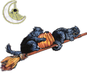 gato-negro-halloween-gifs-12