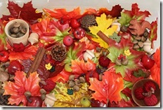 fall sensory bin