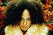 Cree Summer