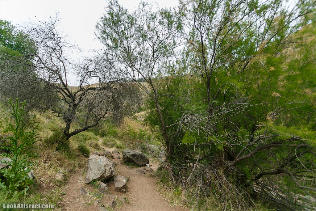 LookAtIsrael.com: Фото-блог о путешествиях по Израилю. Тель Авив, Иерусалим, Хайфа 