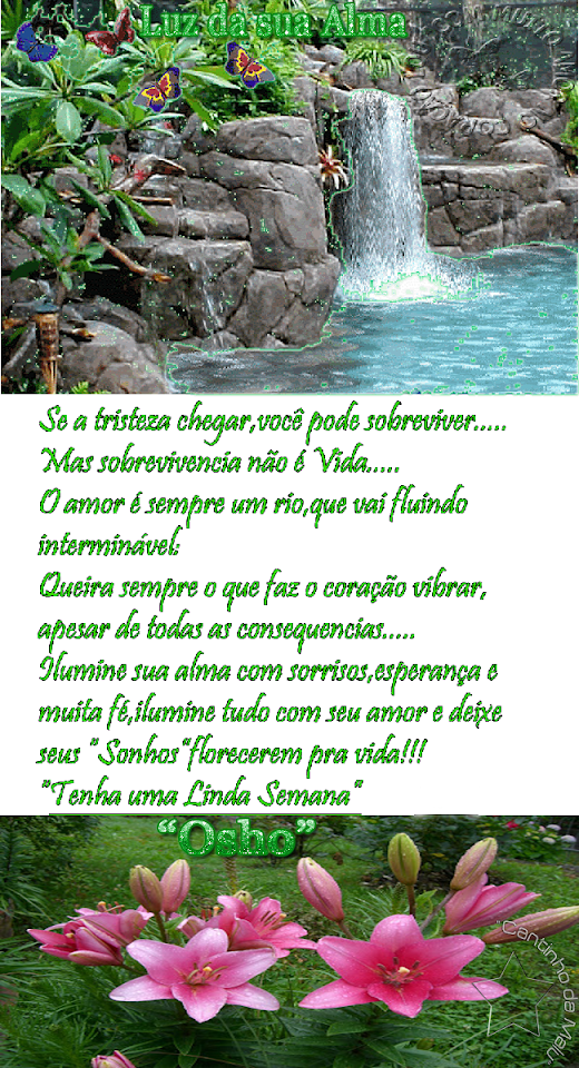 luzdasuaalma2.png