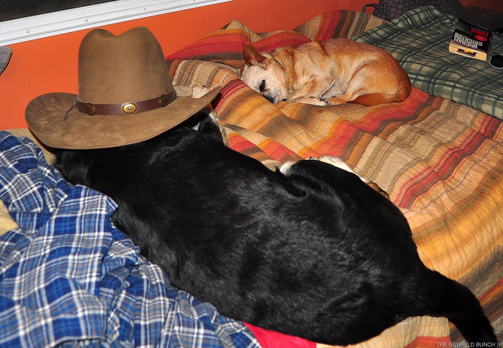 [DSC_0005%255B4%255D.jpg]