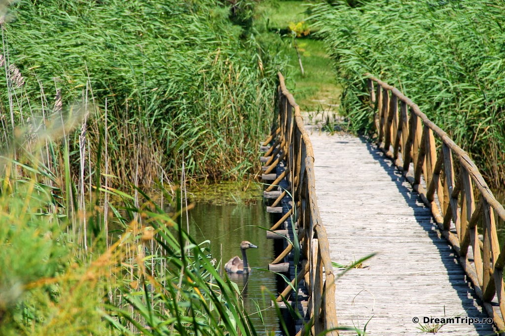 Delta Dunării - Sfântu Gheorghe - DreamTrips.ro