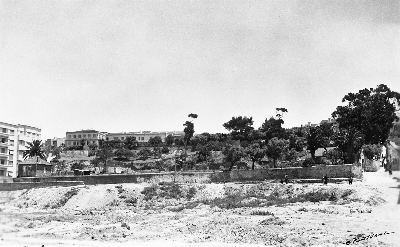 [Construo.017.jpg]