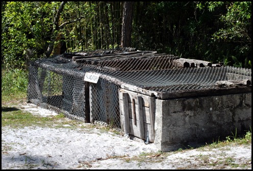 20b - Alligator Cages