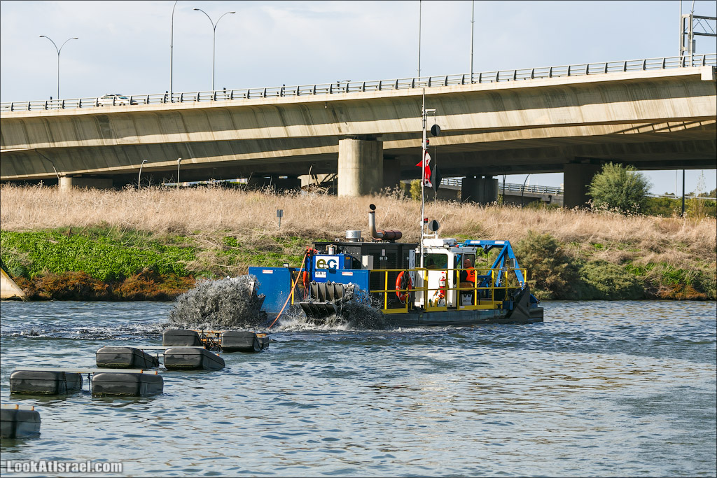 LookAtIsrael.com - Восстановление реки Кишон | Recovering Kishon river | שיחזור נחל קישון