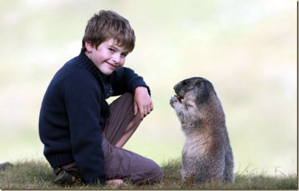 L'enfant et les marmottes