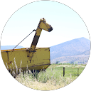 Lynne LeBlanc profile picture