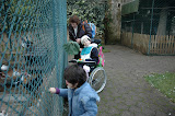 Visita_Quinta_2011 011.jpg