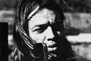 David Gilmour