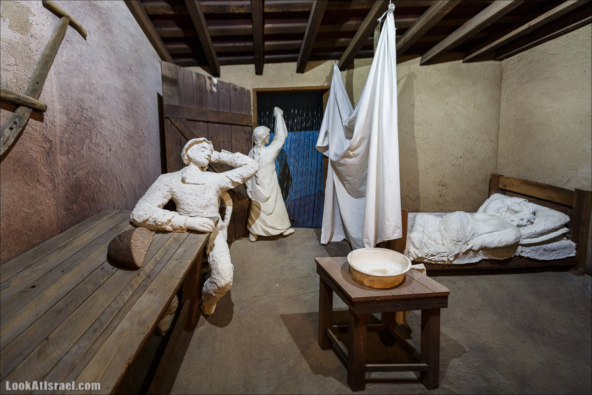 Менахемия - Козья Ферма Аз Из и медицинский музей Бейт ха-Рофе | Menahemia - As Is farm and medical museum | LookAtIsrael.com - Фото путешествия по Израилю | מנחמיה - חוות עז עיז ובית הרופא