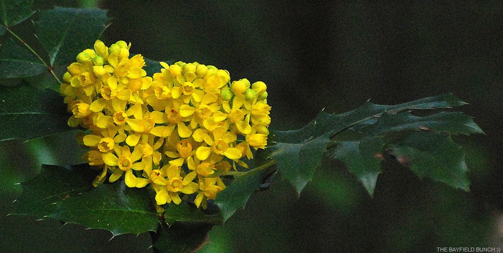 [DSC_9371%255B9%255D.jpg]