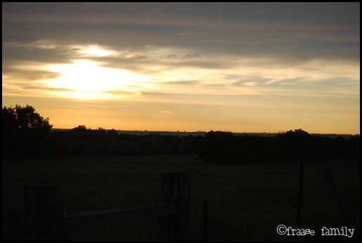 DSC_0230 DSC_0230