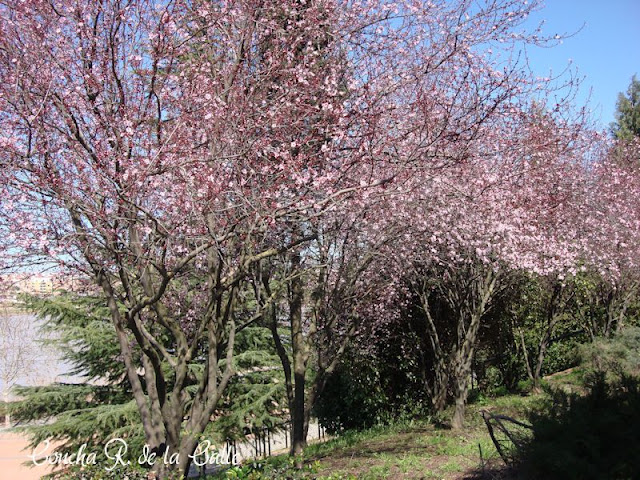 Badajoz, 9 de Marzo 2010