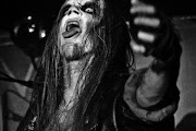 Taake