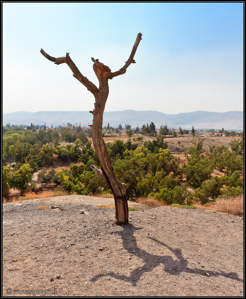 Бейт Шеан | Beit Shean |LookAtIsrael.com - Фото путешествия по Израилю