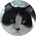 Image Google de PATOU PATOU