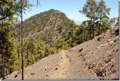 6232 Montaña Alsandara 6232 Montaña Alsandara