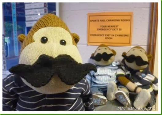 Movember Moustaches 2013 Knitted