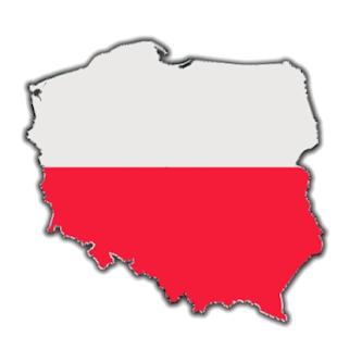 How to install Learn Polish! patch 1.1 apk for android