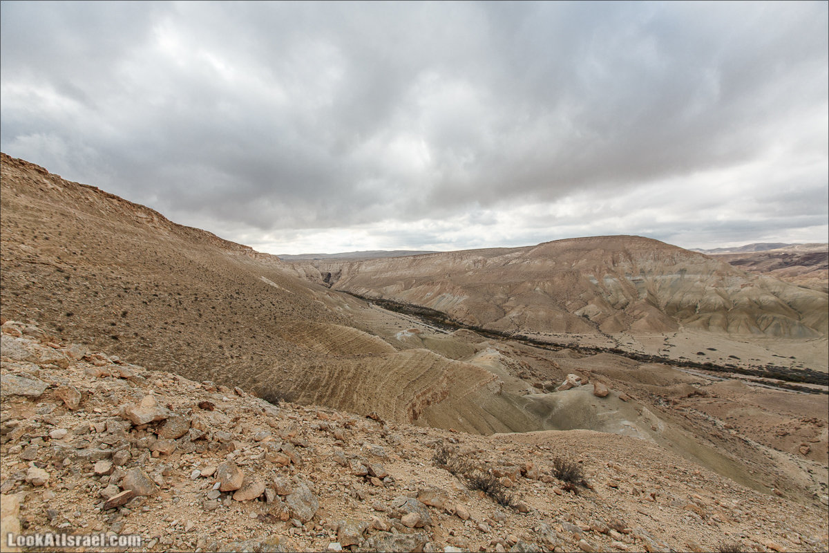 Лунные пейзажи пустыни Негев | Lunar landscapes of the Negev | LookAtIsrael.com - Фото путешествия по Израилю
