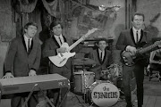The Standells