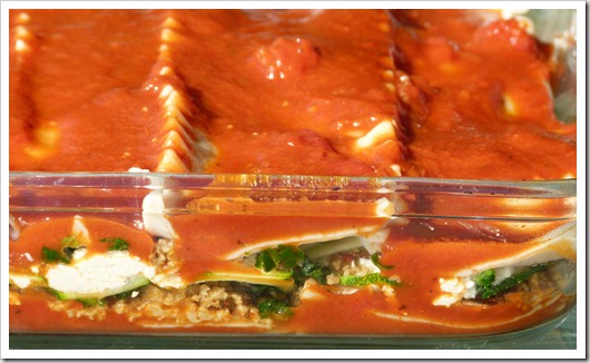 side view lasagna