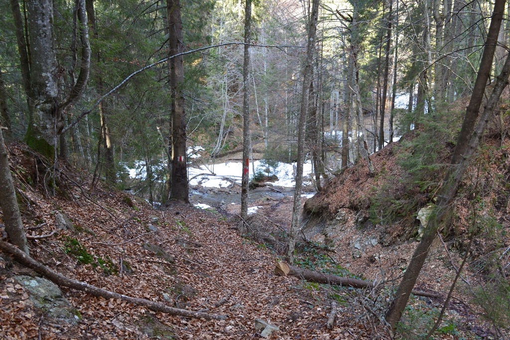 [DSC_55033.jpg]