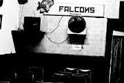 Falcons