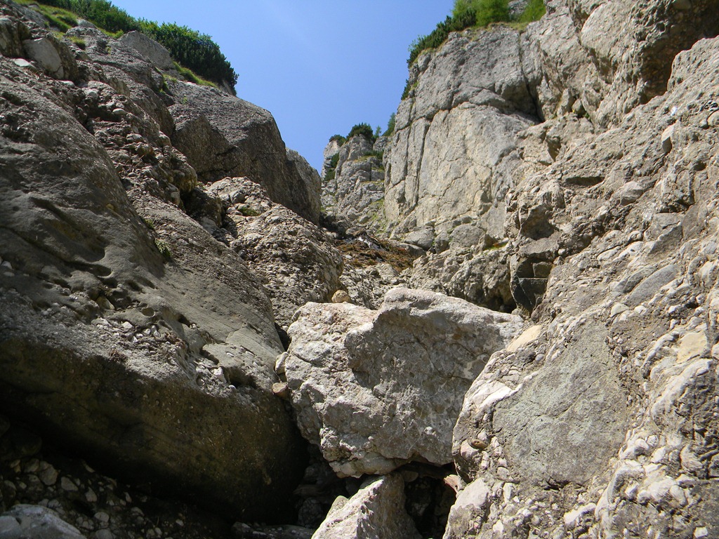 [DSCN32733.jpg]
