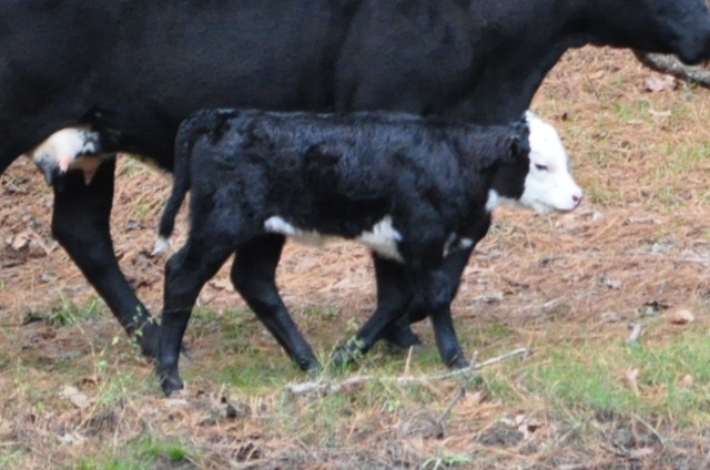 [DSC_0081%255B5%255D.jpg]