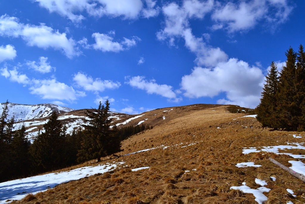 [DSC_52253.jpg]