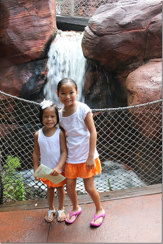 pretty girls by the waterfall