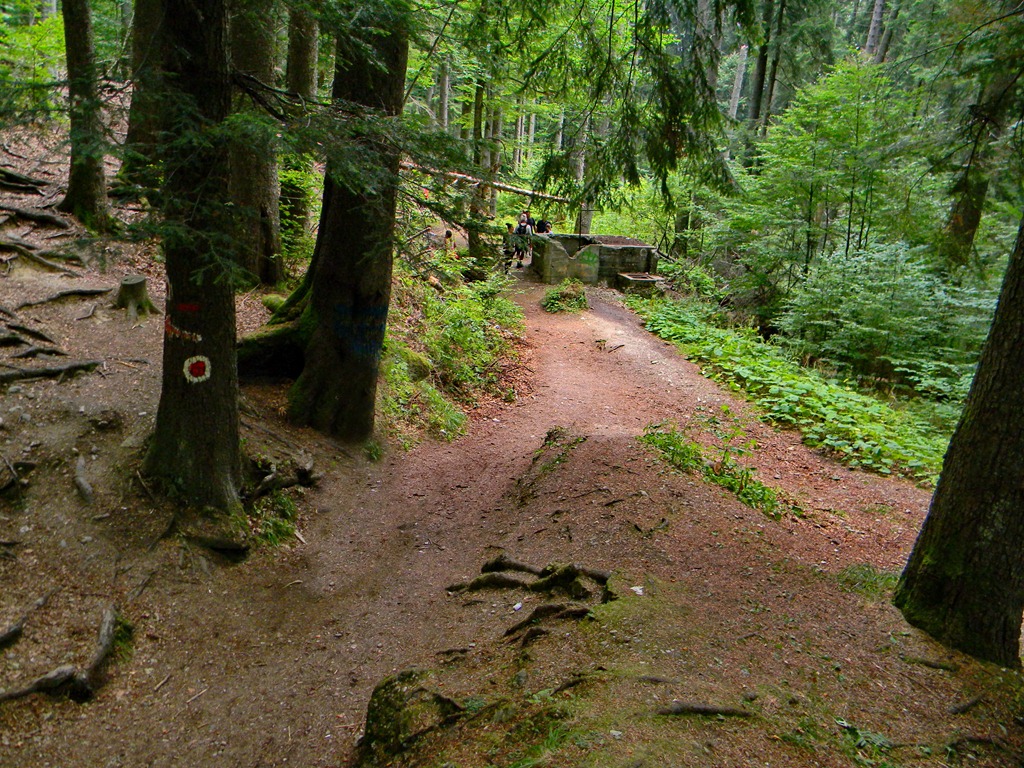 [DSCN41323.jpg]