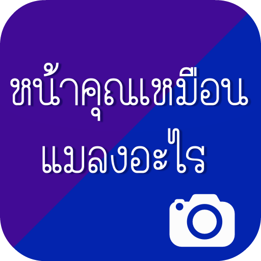 หน้าคุณเหมือนแมลงอะไร LOGO-APP點子