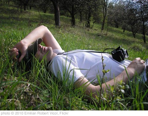 'man-relaxing-in-the-grass_8954-480x359' photo (c) 2010, Emilian Robert Vicol - license: http://creativecommons.org/licenses/by/2.0/