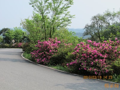 0319 049 - 雙溪區泰和街