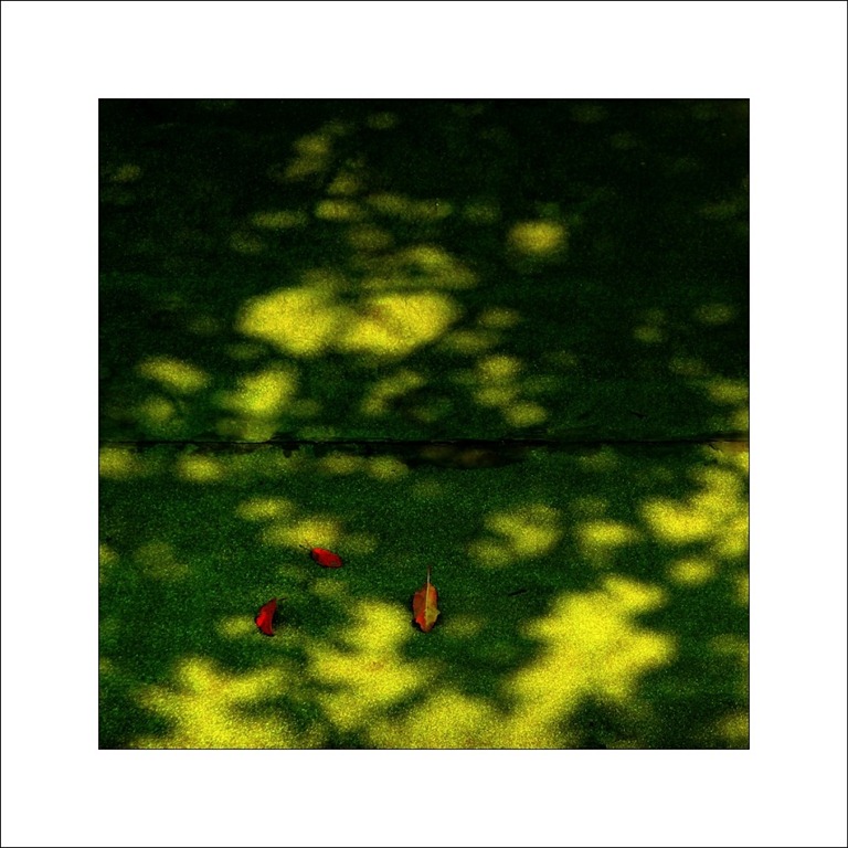 [330979_detail%255B5%255D.jpg]